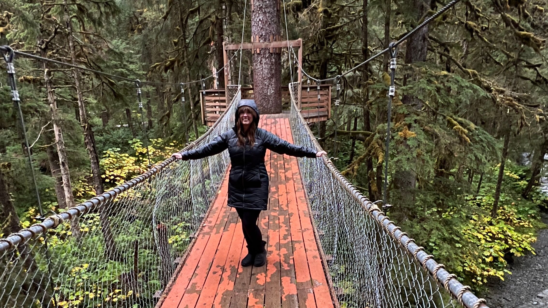 Juneau Cruise Port: Suspension bridge in a forest near Juneau.