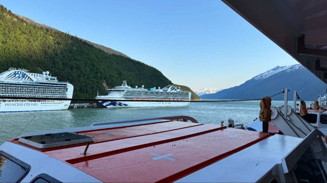 Juneau Cruise Port: Ships Docked