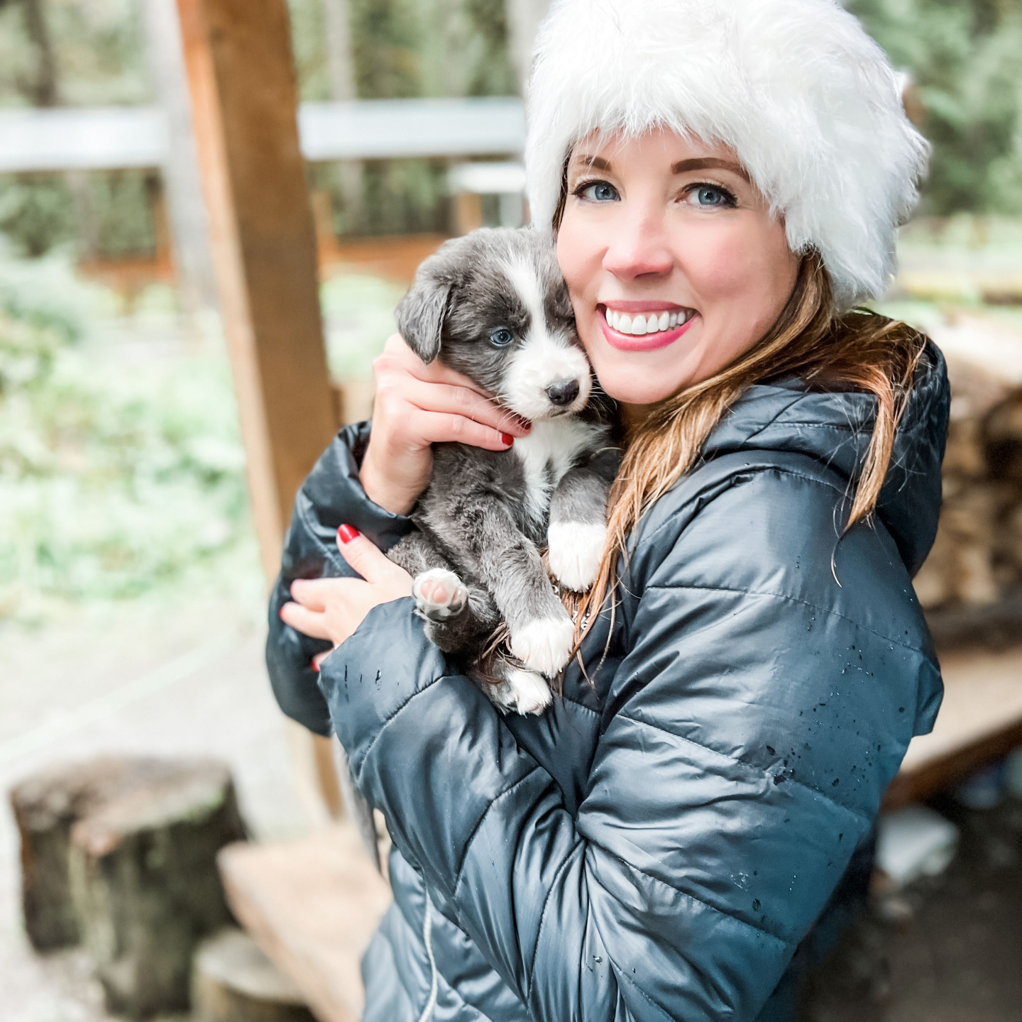 Juneau Cruise Port: Puppy Cuddles