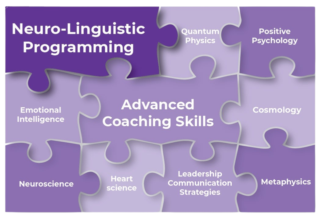 The 10 Disciplines of Neuro-Shine Technology Diagram