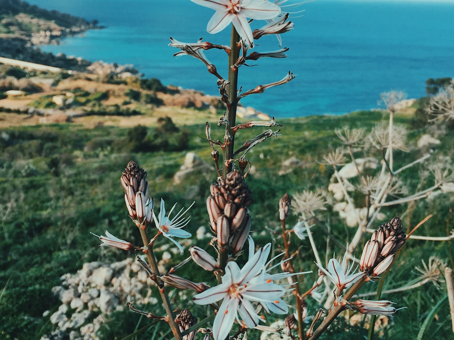 Outdoor patio at Mas Girbau villa