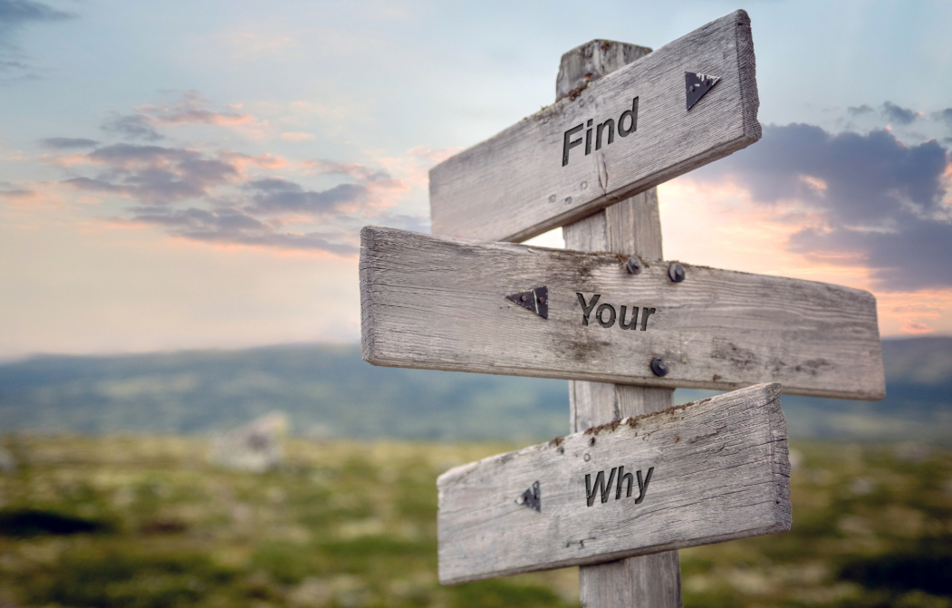Mas Girbau silhouetted against sunset sky