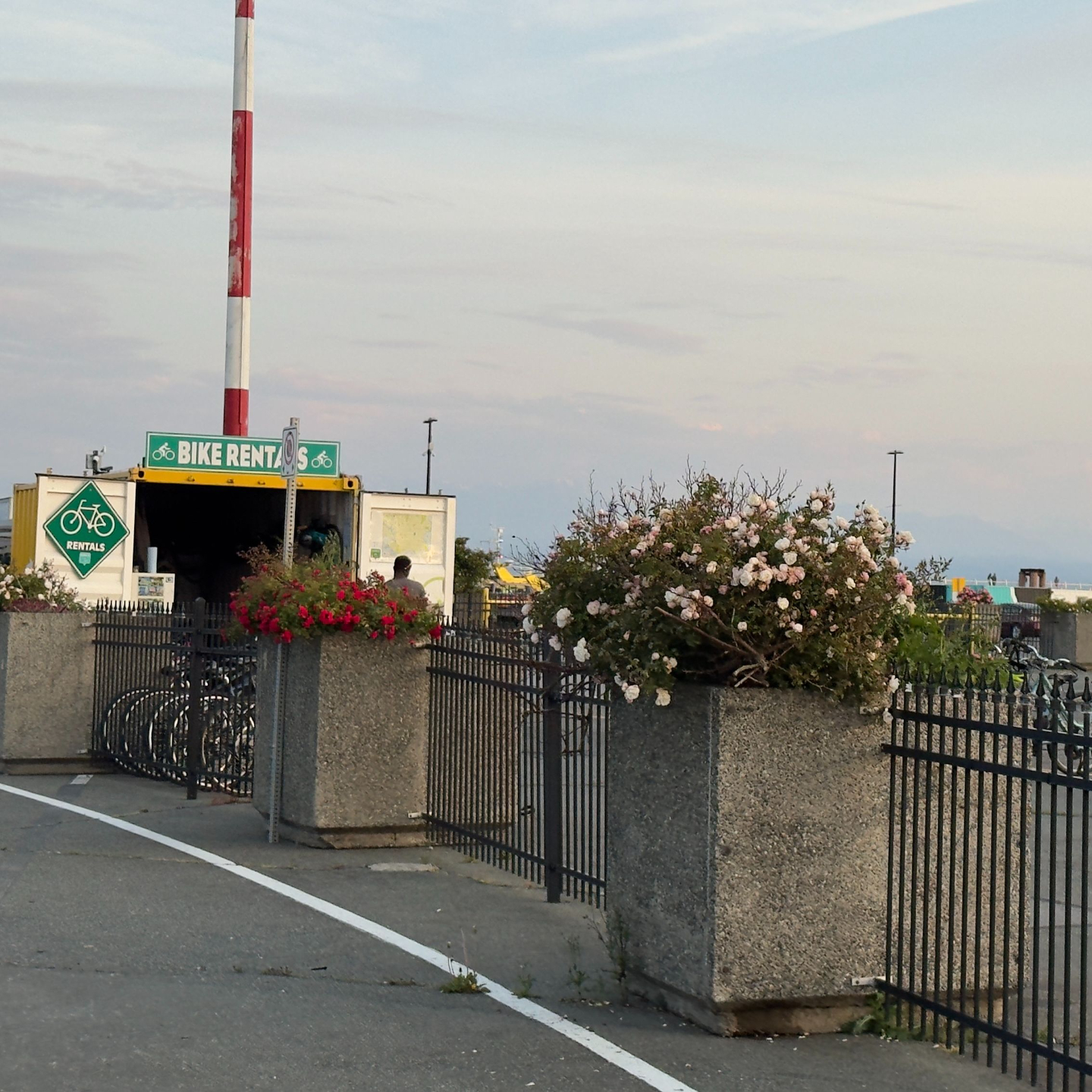 Victoria Cruise Port: Bike rental station