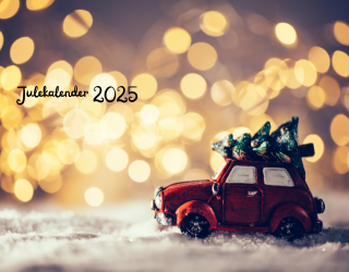 - Du er nå påmeldt julekalenderen og vil motta eposter hver dag i Desember med verdifullt innhold <3