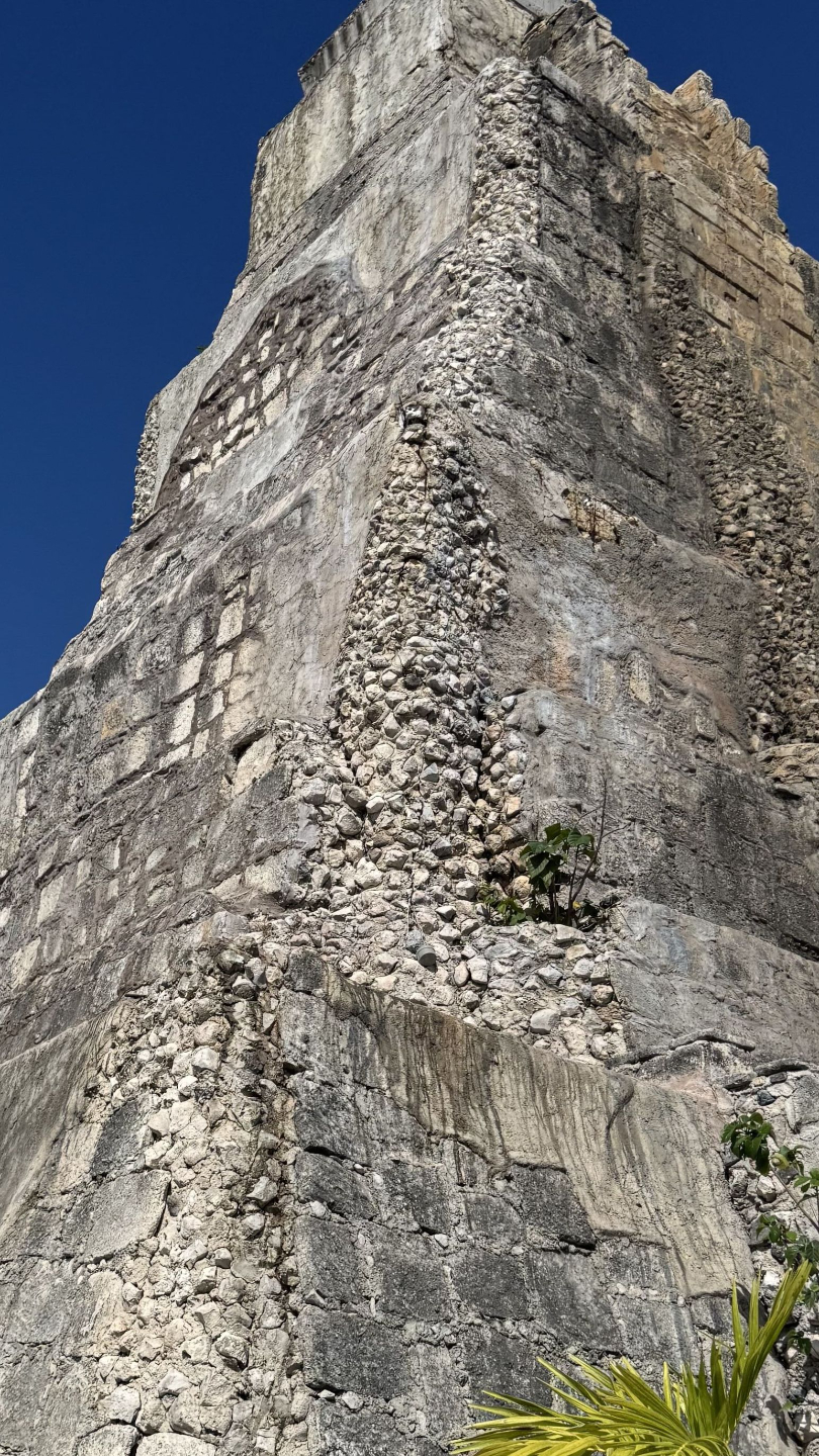 Chicken Rooster in Key West Cruise Port