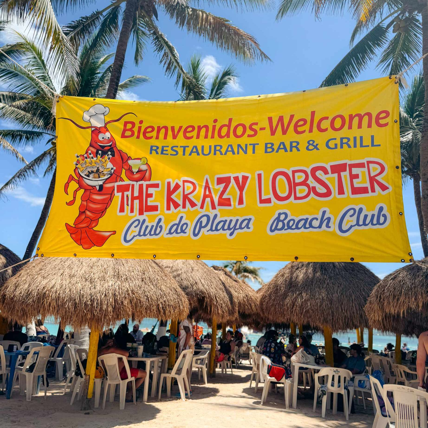 Costa Maya Cruise Port: Krazy Lobster