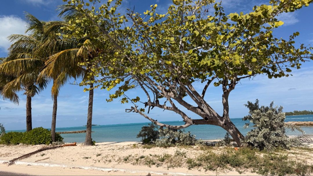 Nassau Cruise Port: Best Beaches in Nassau