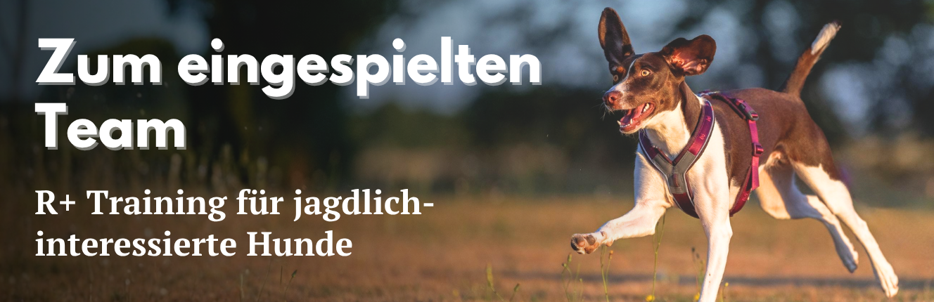 Zum eingespielten Team