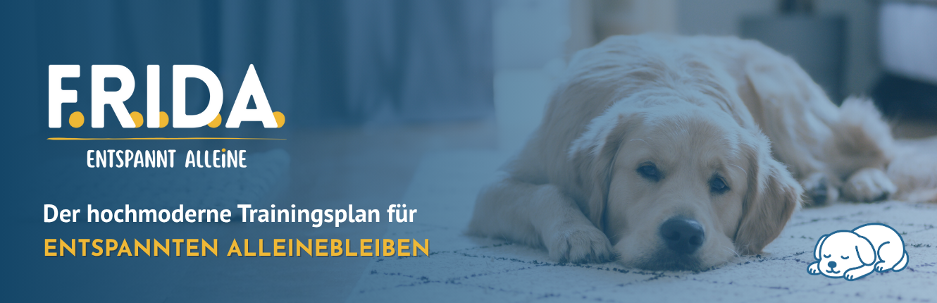 FRIDA 2.0 entspannt alleine – Der hochmoderne Trainingsplan