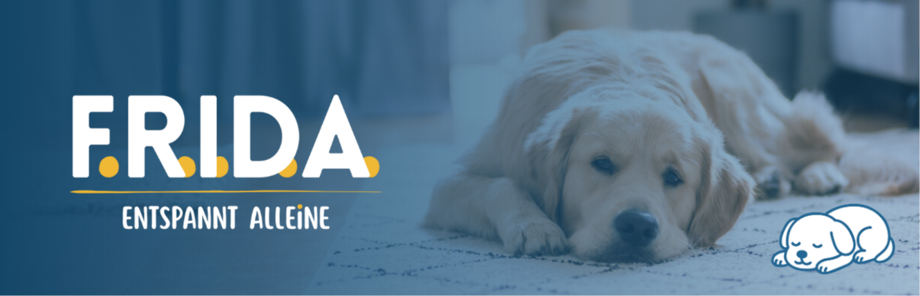 FRIDA 2.0 entspannt alleine