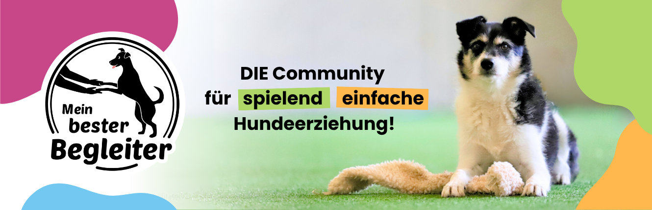Mein bester Begleiter Community – Spielend einfache Hundeerziehung!
