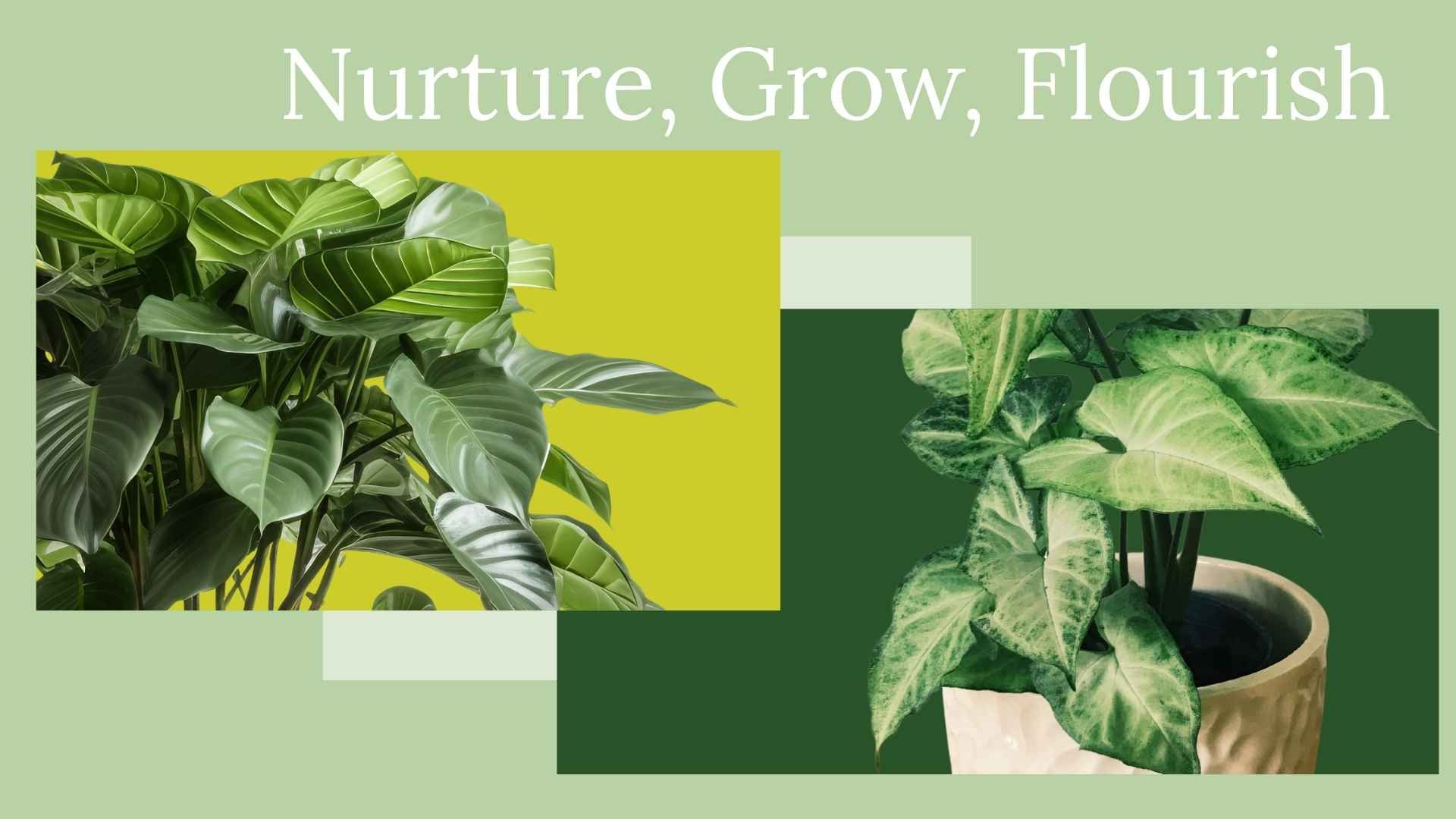 Nurture, grow, flourish