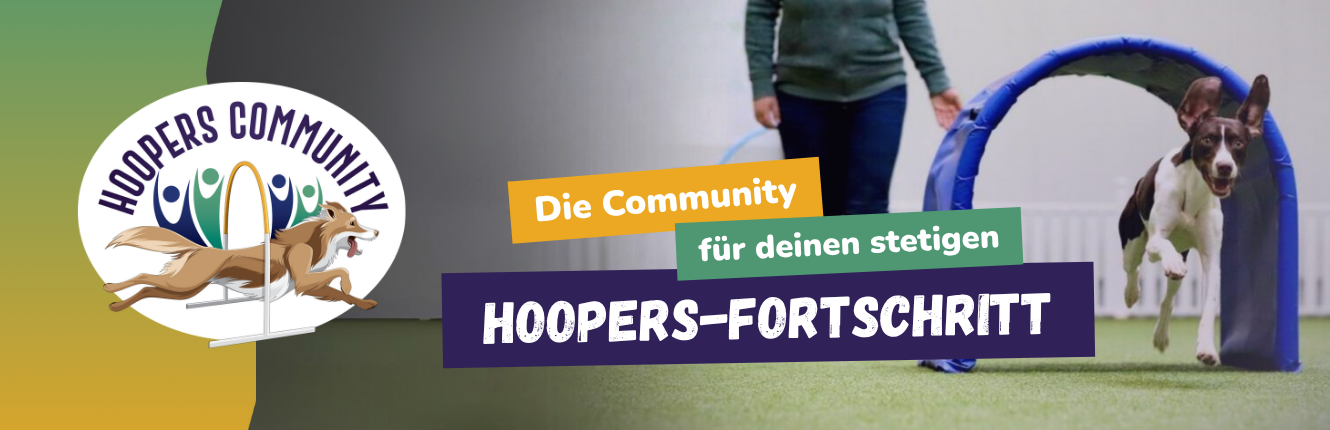 Hoopers Community für deinen stetigen Hoopers-Fortschritt