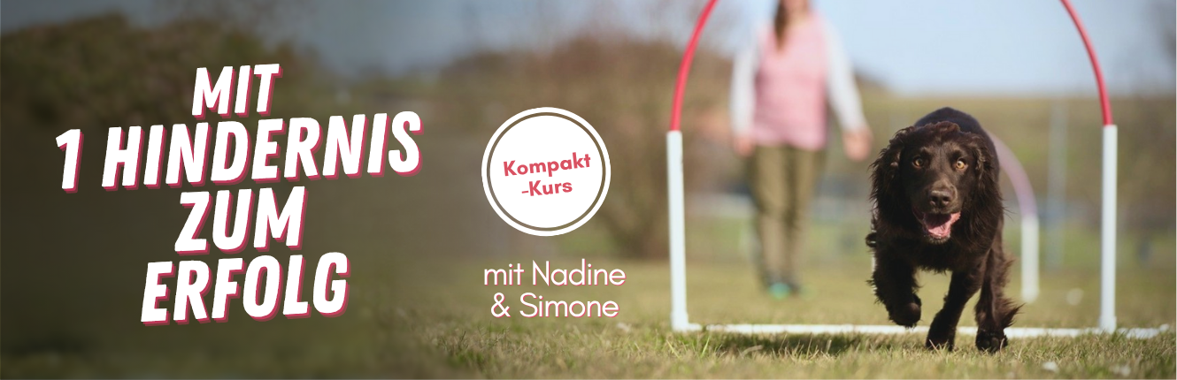 Mit 1 Hindernis zum Hoopers-Erfolg