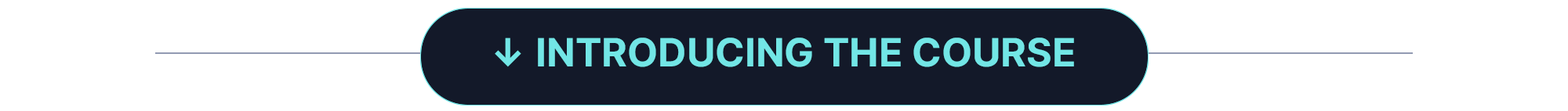 Introducing Chris Goff's Seller Financing Course