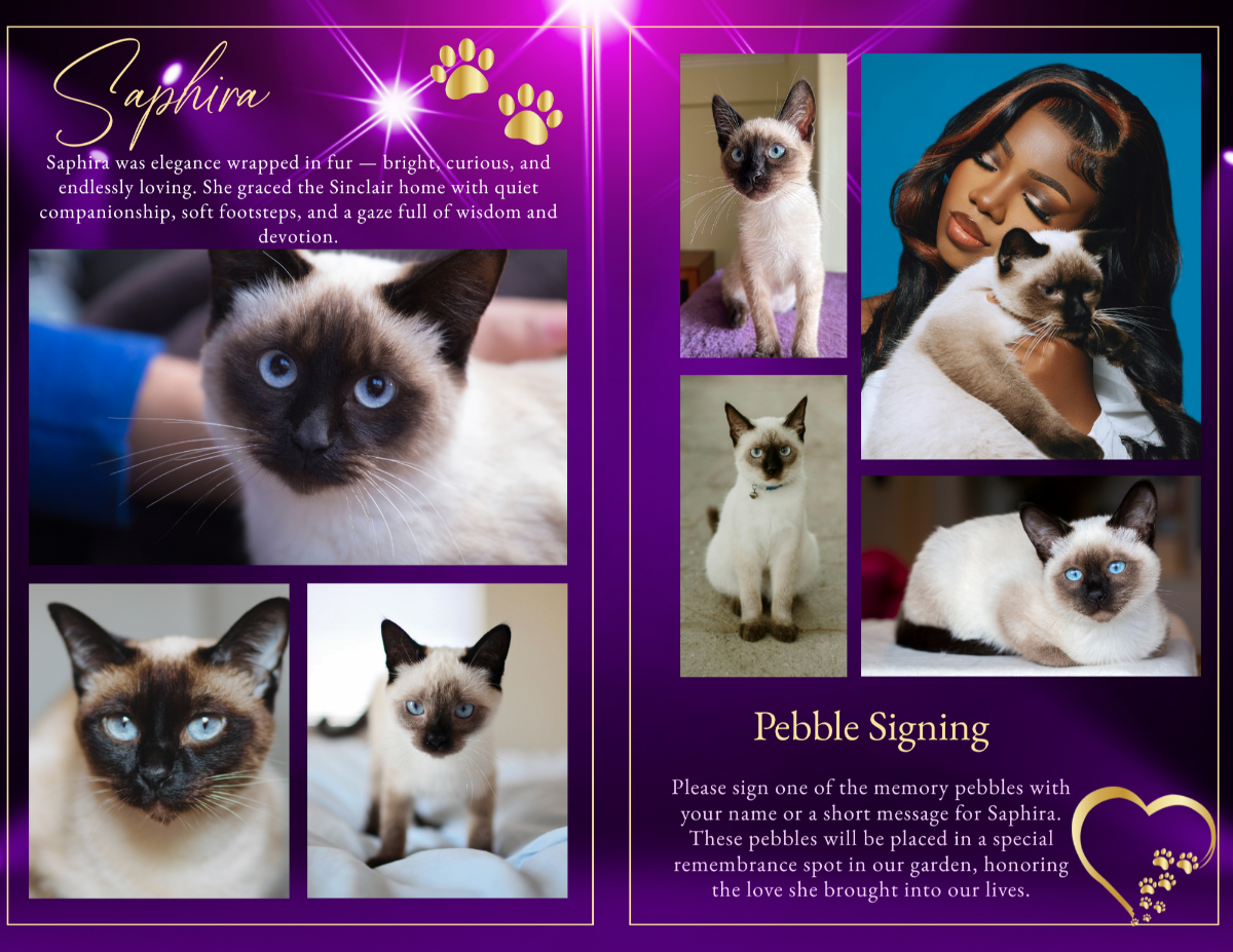 Purrrfect Purple Funeral Program — Two-page photo collage featuring multiple cat portraits, gold paw accents, heartfelt biography text, and a “Pebble Signing” memorial activity panel on a radiant purple backdrop.
