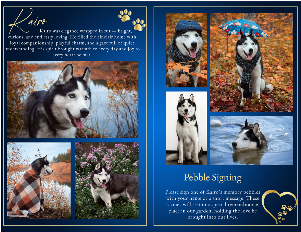 Full photo collage spread showing multiple images of a Siberian Husky outdoors in fall colors, winter scenes, and water, alongside a pebble-signing memorial invitation framed with gold paw-heart accent.
