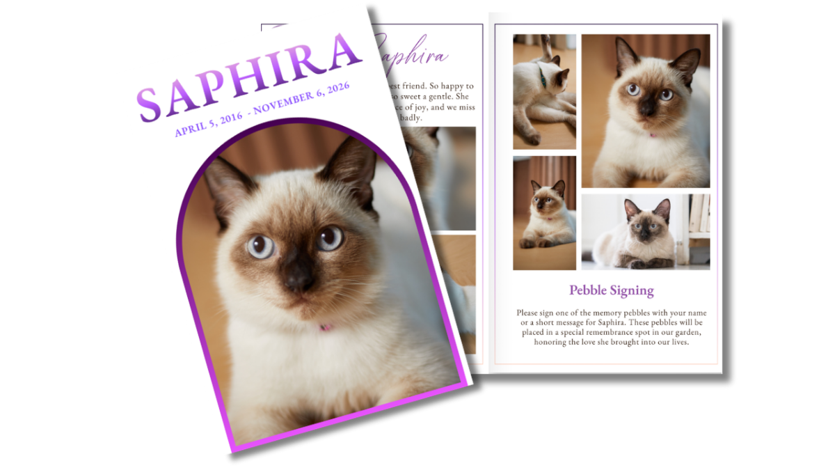 Front cover featuring a close-up portrait of a Siamese cat within a soft lavender arch, alongside an open interior layout showing coordinated pages for memories, poem, and ceremony details.