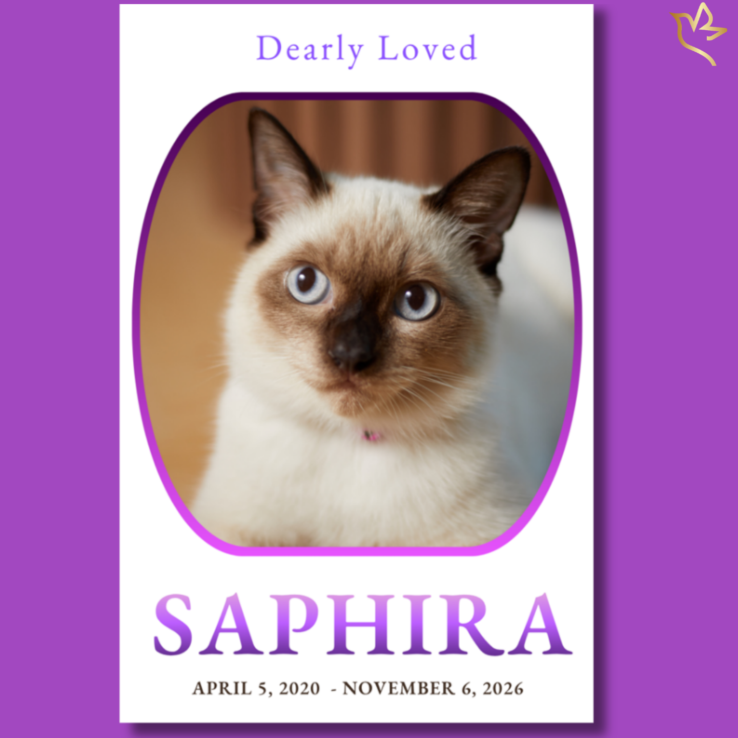 Pet cat funeral program cover featuring a soft neutral background, rounded portrait frame with a Siamese cat, purple gradient border, and elegant typography for a gentle memorial design.