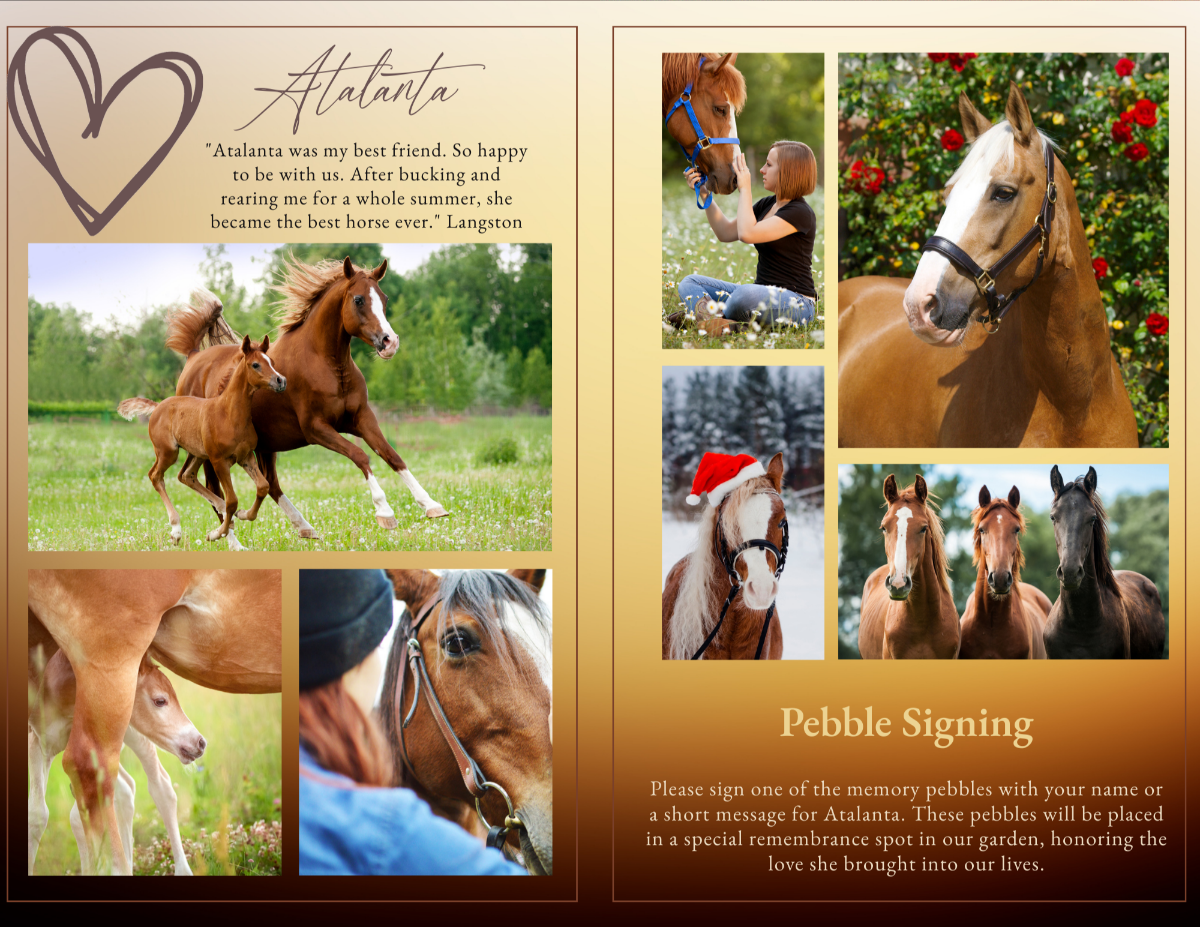 Two-page spread with a soft golden background, heart illustration, tribute message, and multiple horse photos showing companionship and warm memories; includes a section for “Pebble Signing.”
