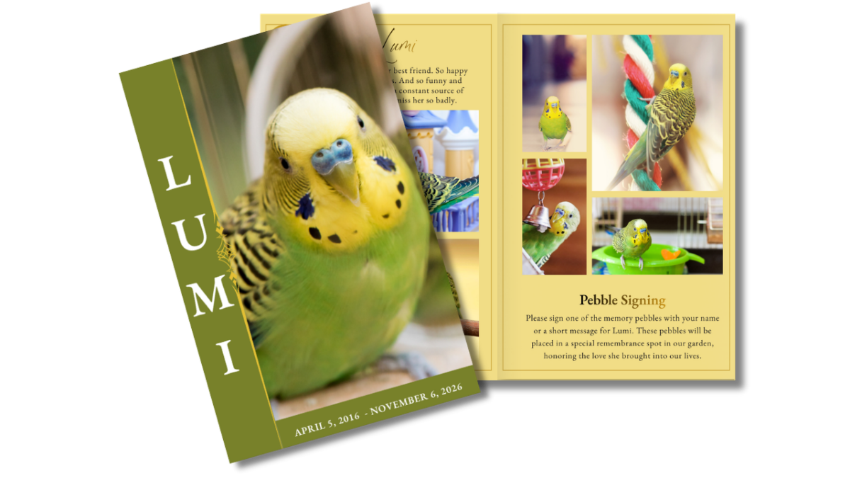 Angled preview of the full program displaying both the cover and interior pages of the Honoring My Feathered Friend Pet Bird with soft greens and yellows.