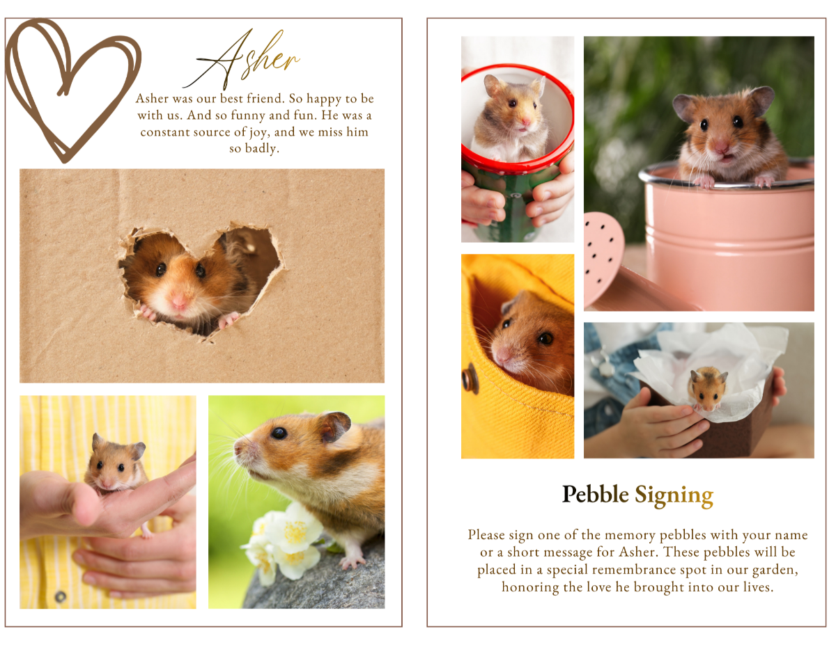 A warm and inviting collage page designed to highlight your pet’s personality and special moments, bringing together the little memories that meant the most.