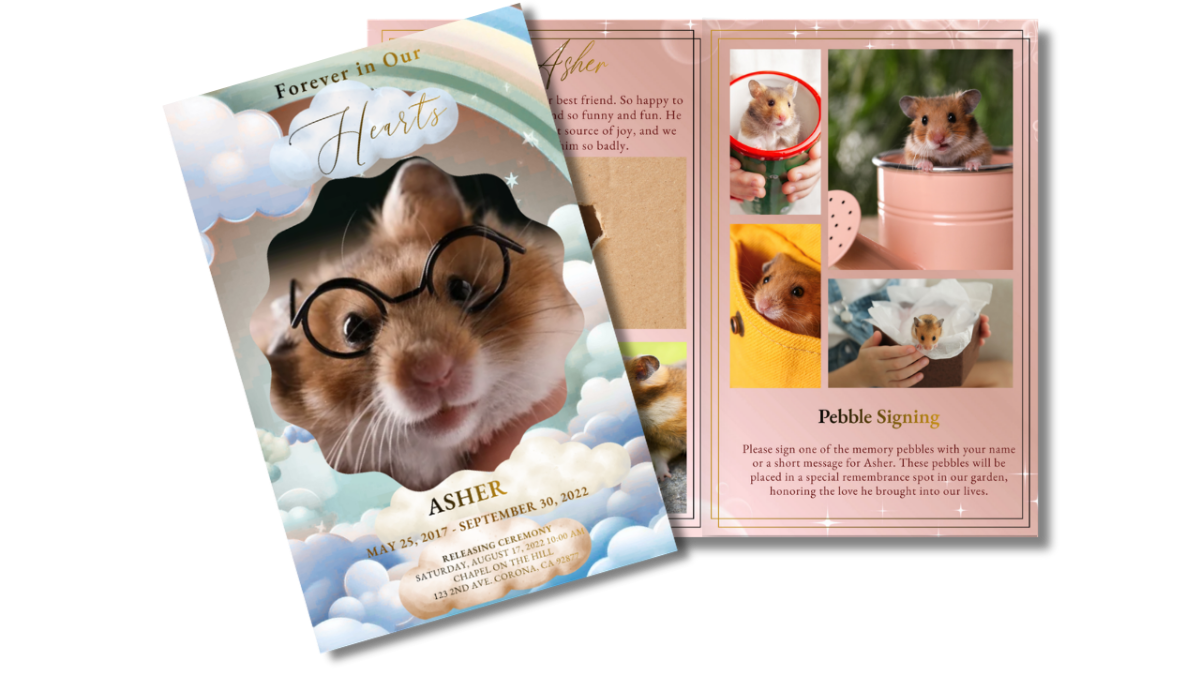 Full program layout displaying front cover and interior pages together, showing cohesive rainbow sky theme across obituary, poem, tribute, and photo collage spreads.