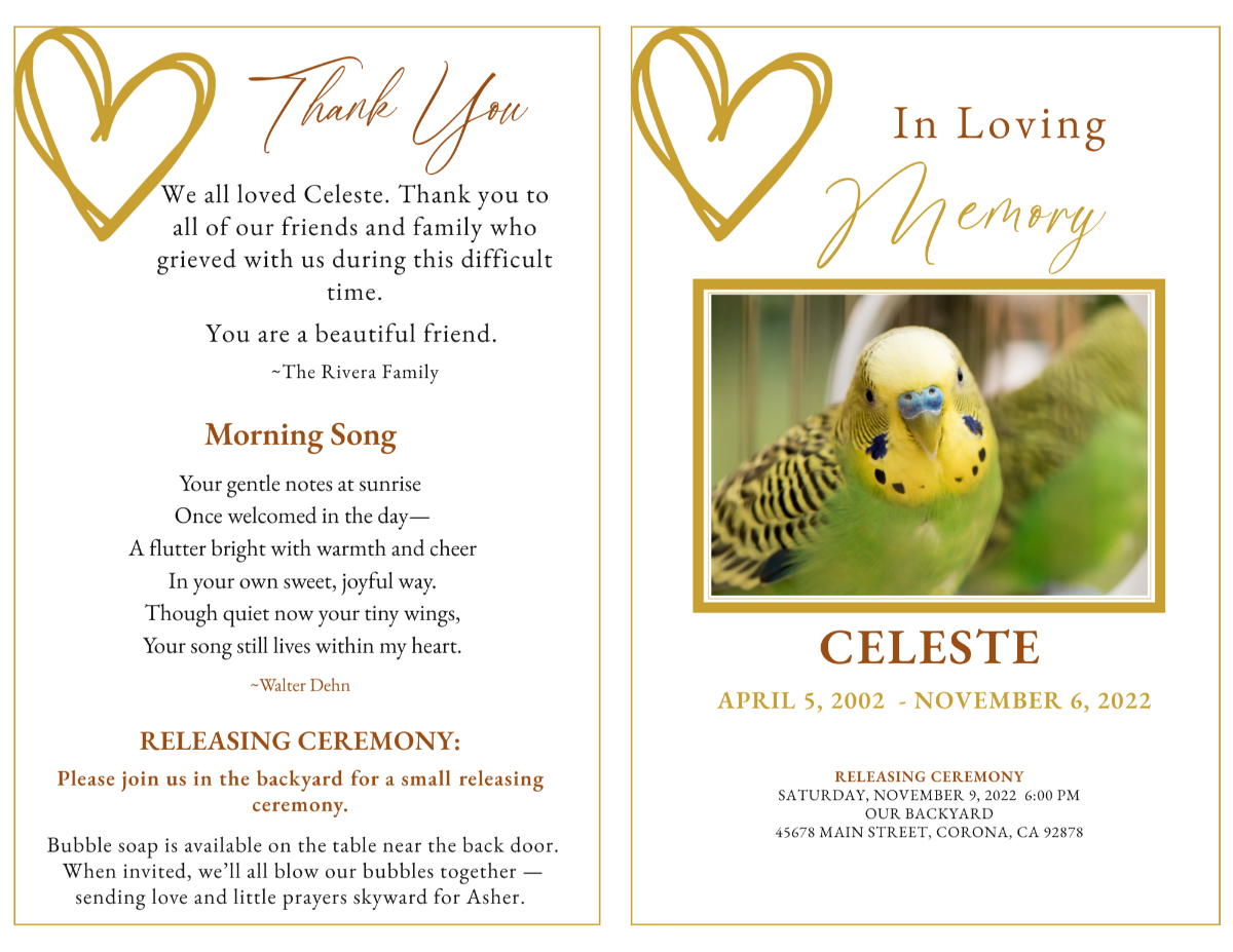 Program layout showing front and back pages with warm gold typography and minimalist design.