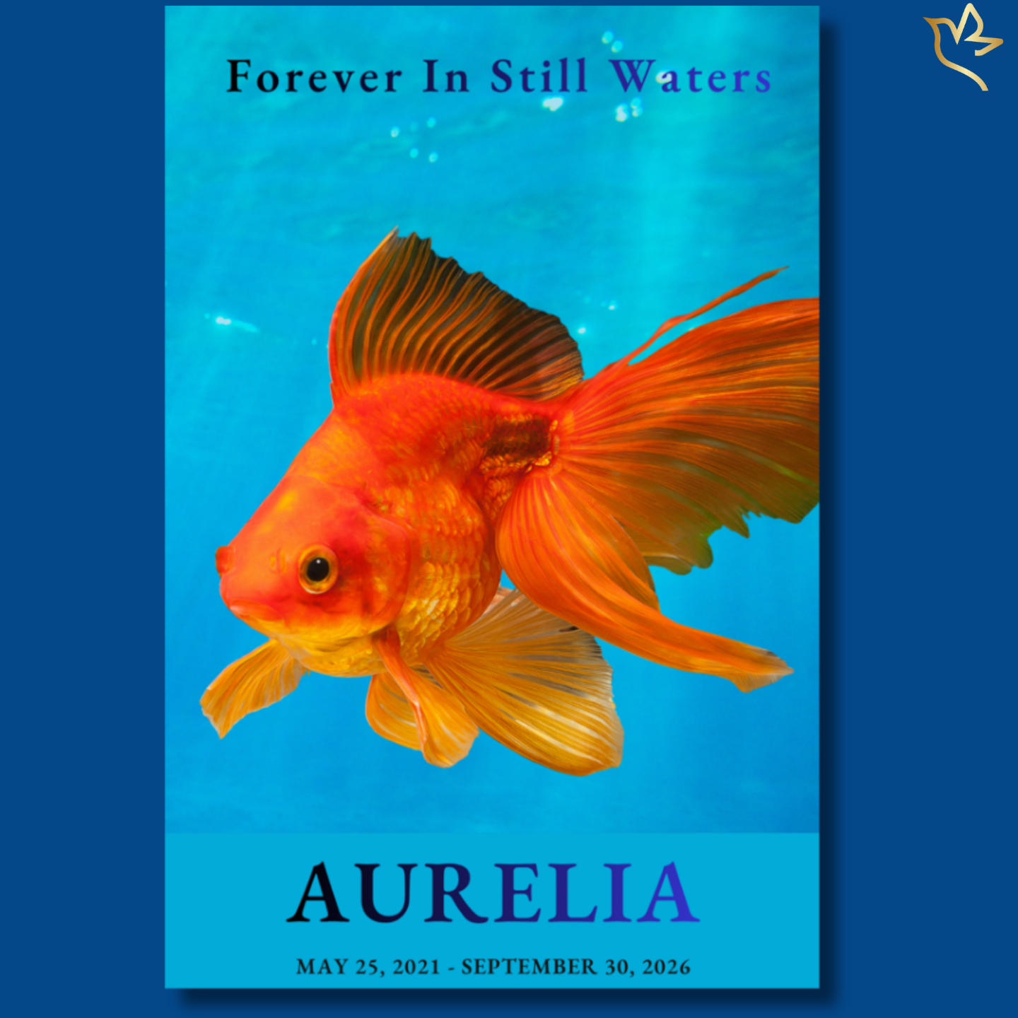Forever in Still Waters pet fish funeral program cover featuring a vibrant orange goldfish gliding through soft blue water tones, with elegant serif typography and a peaceful aquatic-inspired background.
