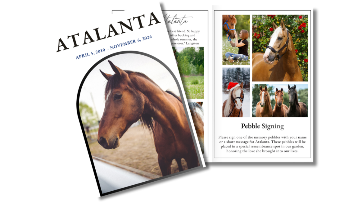 Front cover featuring a peaceful horse portrait within an arched frame, alongside an open interior layout showing coordinated pages for service details and memories.