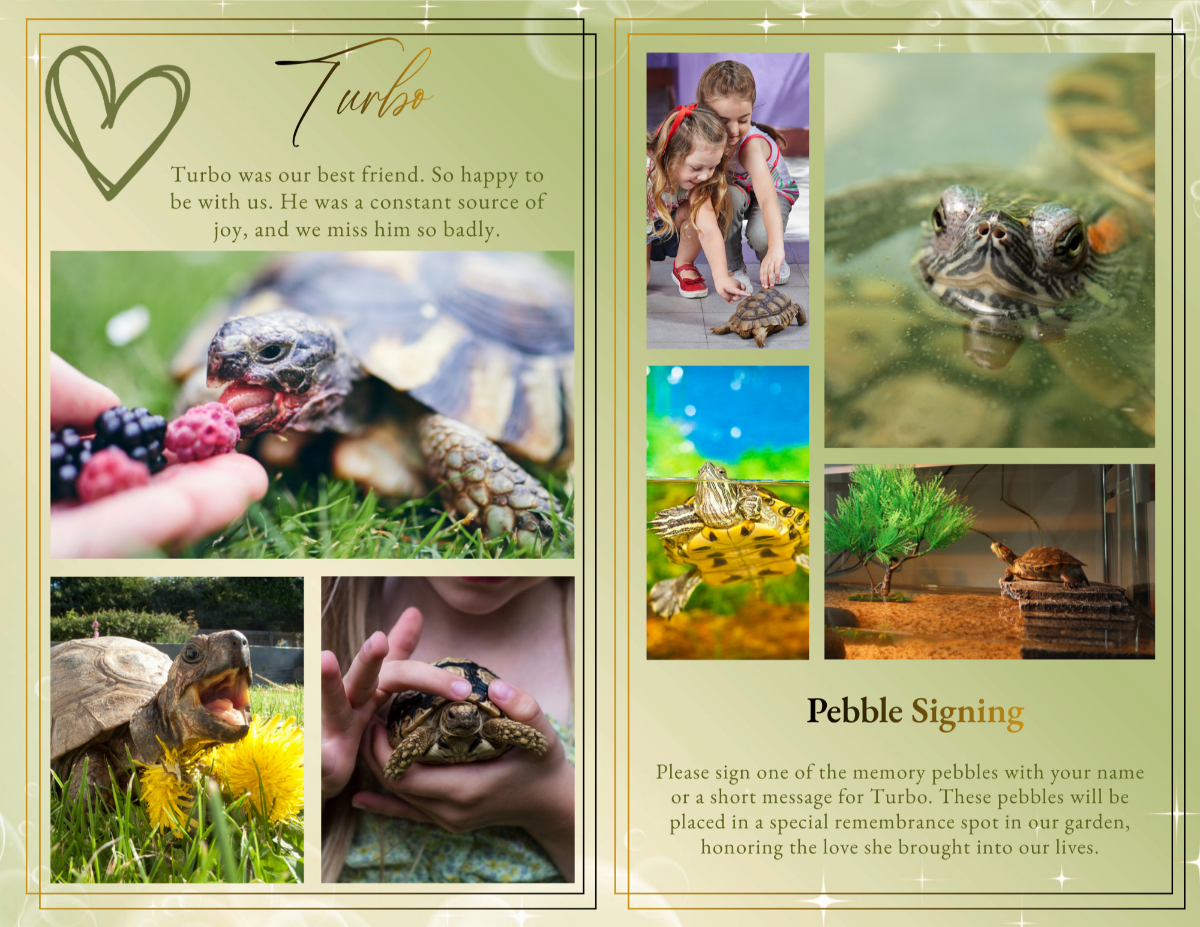 Photo collage and pebble signing spread in soft sage-green tones, featuring multiple reptile photos—children gently interacting with a tortoise, close-up turtle portraits, a turtle in water, and a terrarium scene—above a “Pebble Signing” section inviting guests to leave a short message in remembrance.