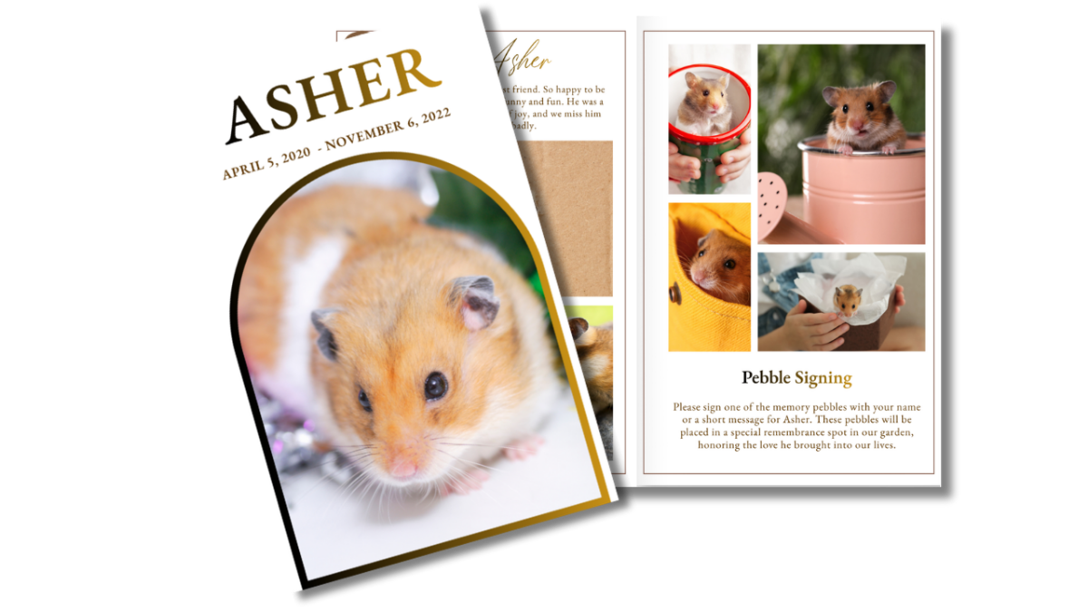 A sweet and simple front cover alongside open interior pages featuring a beloved small pet framed within a soft arched design, creating a gentle and comforting tribute.