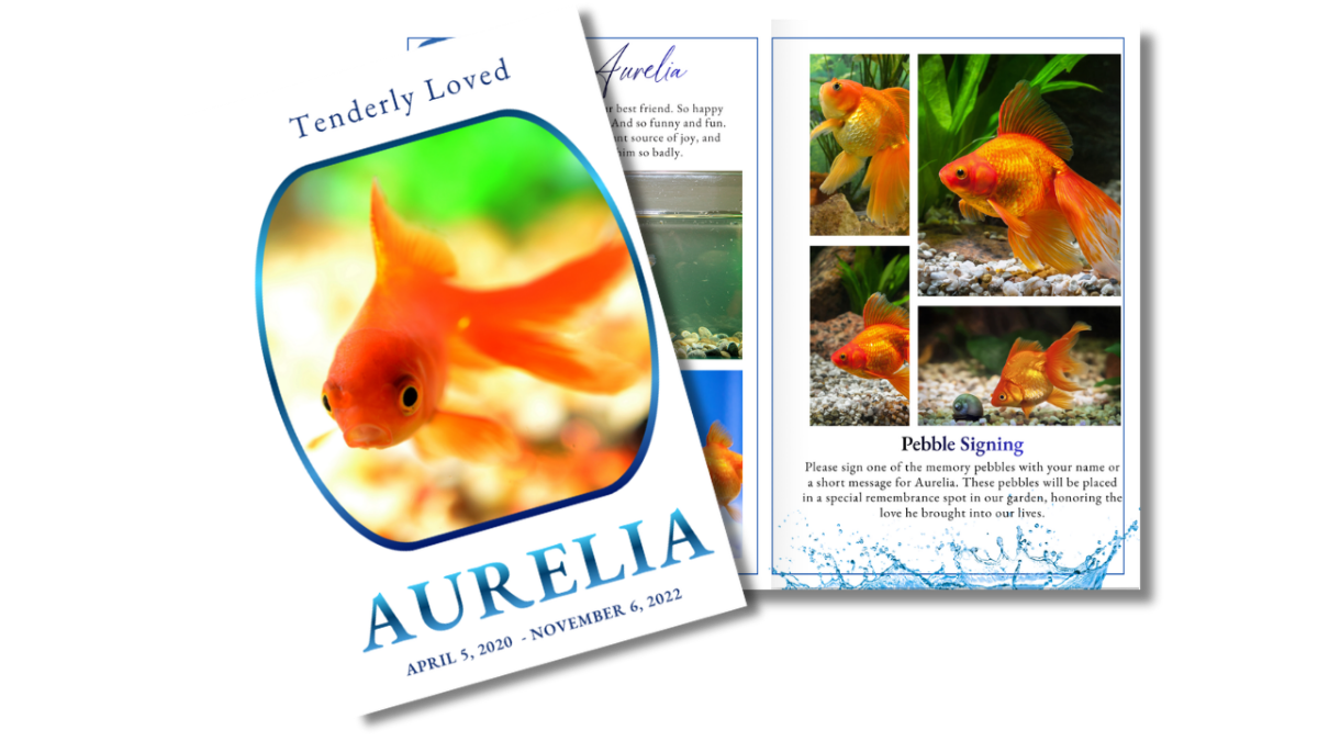 Pet fish funeral program front cover with goldfish image alongside open interior pages showing aquatic-themed photo collage layouts.