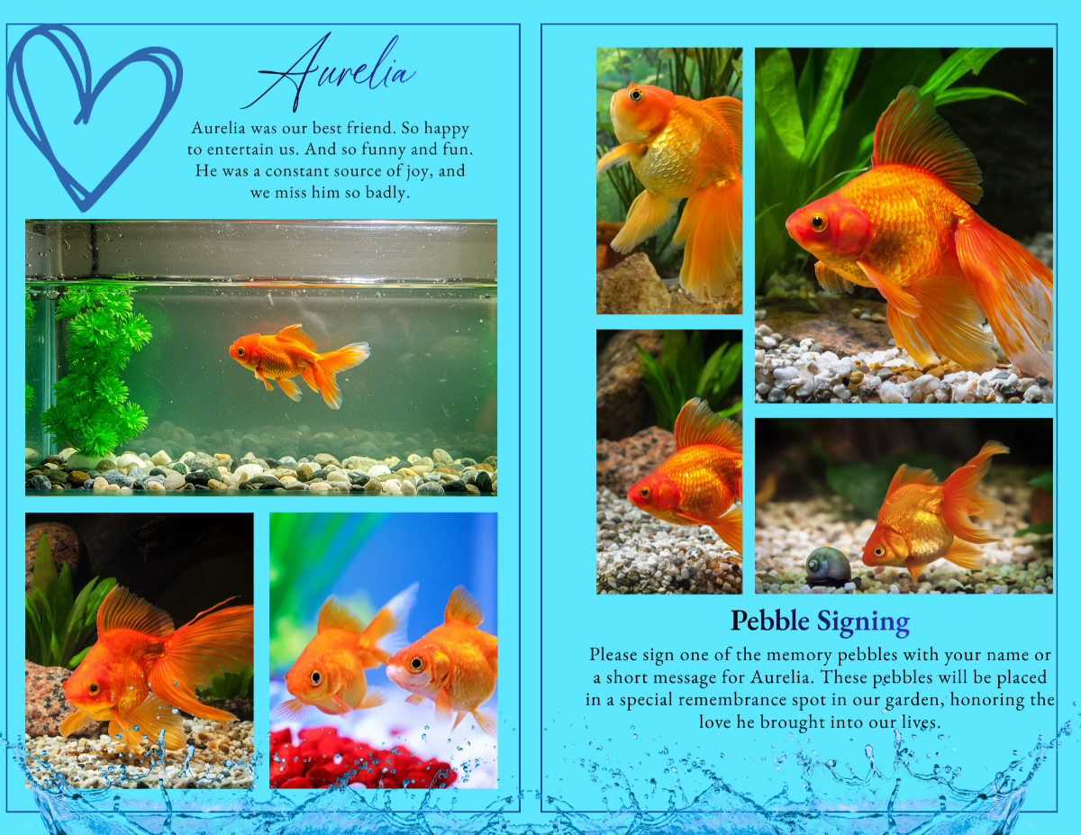 Photo collage pages displaying multiple fish and companion moments in a clean, organized layout.
