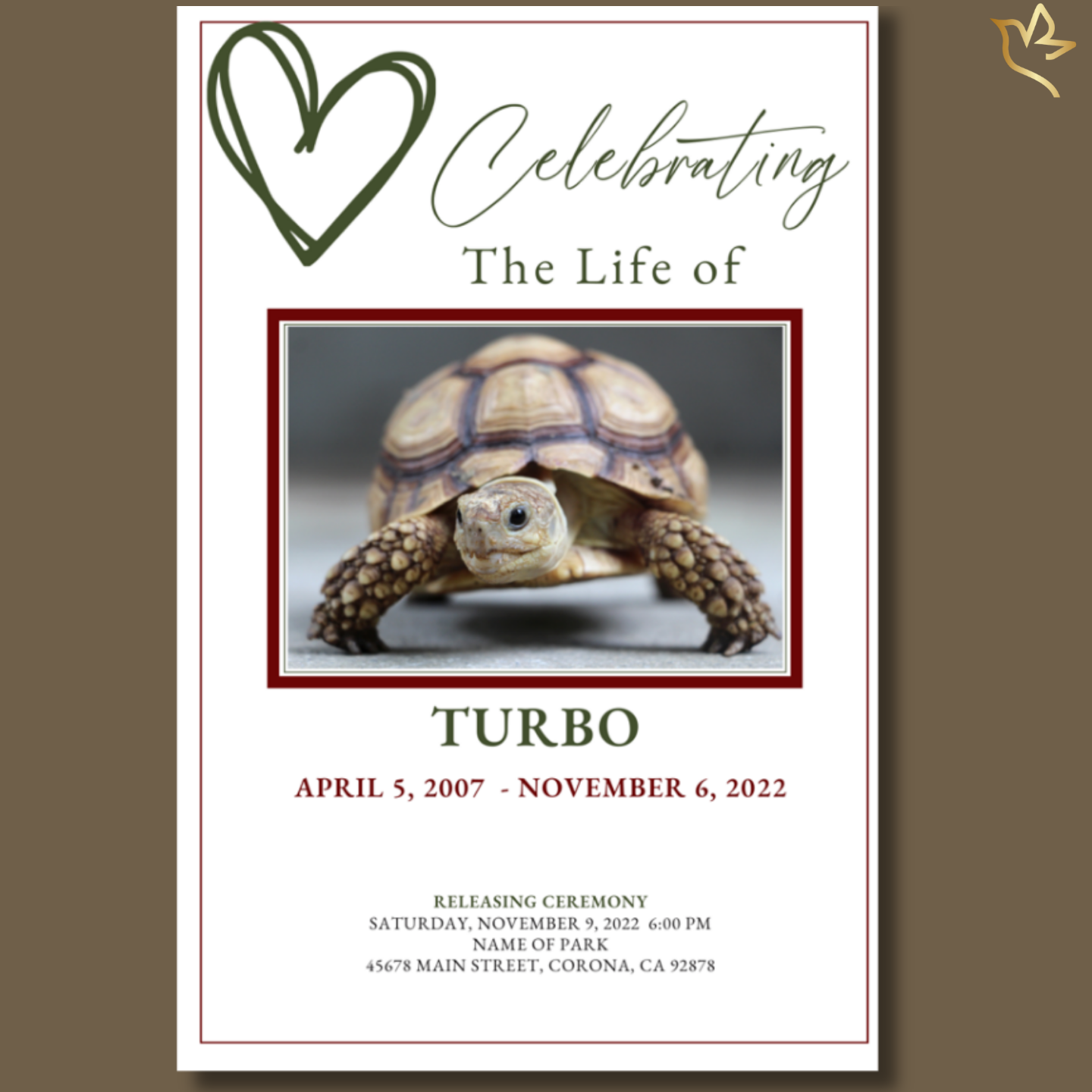 Front cover of Sensational Scales Funeral Program Template with turtle photo and olive-green heart design.