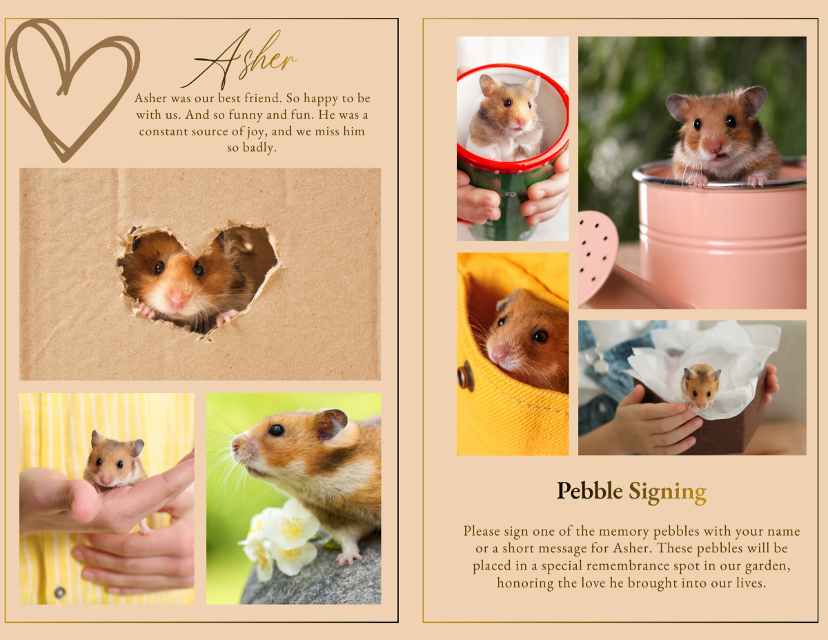 Photo collage tribute spread displaying multiple hamster photos playing, resting, and being held gently, arranged in clean framed layouts celebrating a tiny companion’s life.