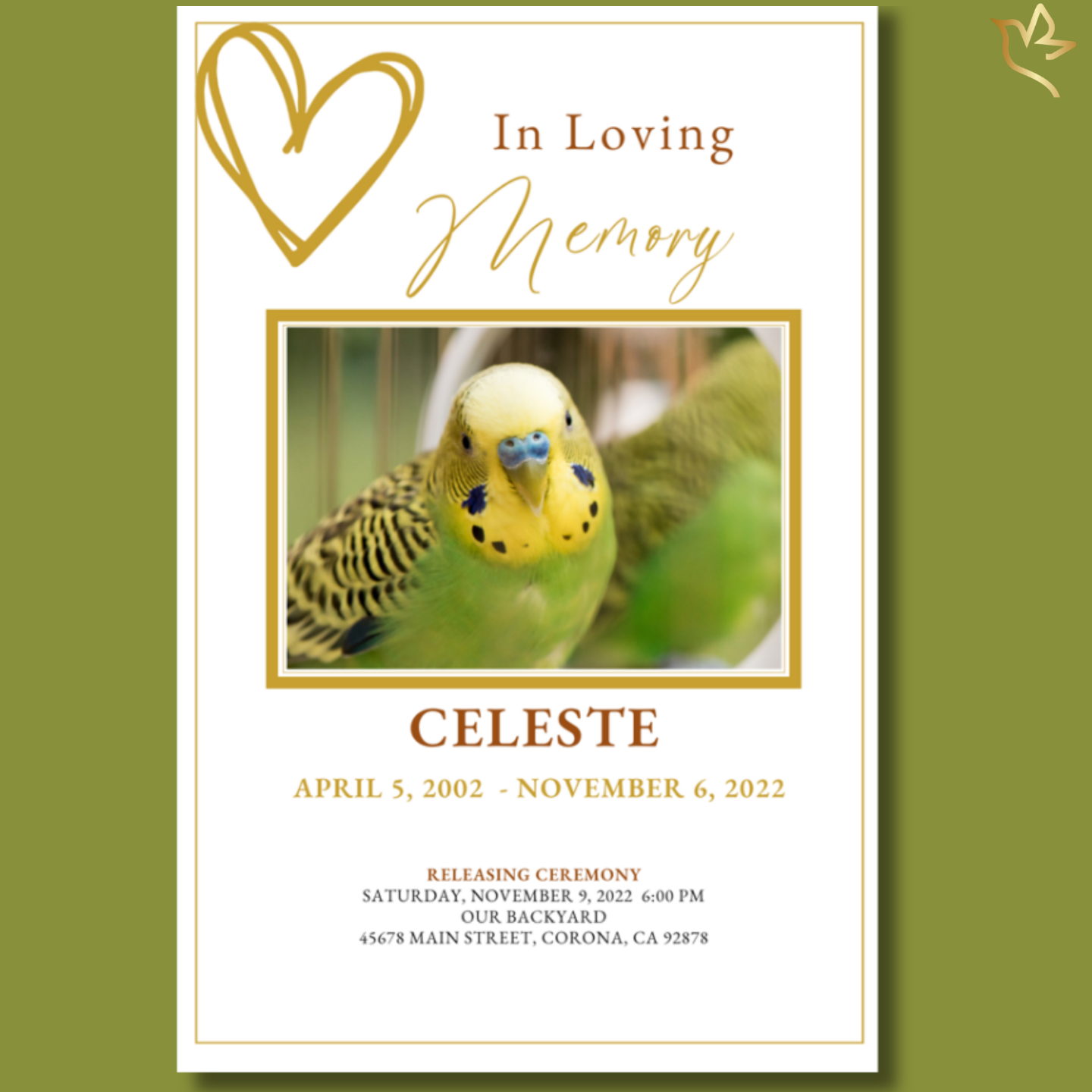 Front cover of Feathered Friends Funeral Program Template featuring parakeet photo with gold heart design.
