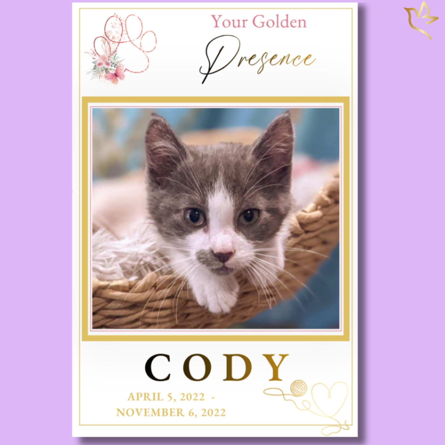 A sweet gray and white kitten resting in a woven basket, framed in a soft, elegant layout with gold accents, delicate floral paw artwork, and warm neutral tones, creating a gentle and loving pet memorial design.