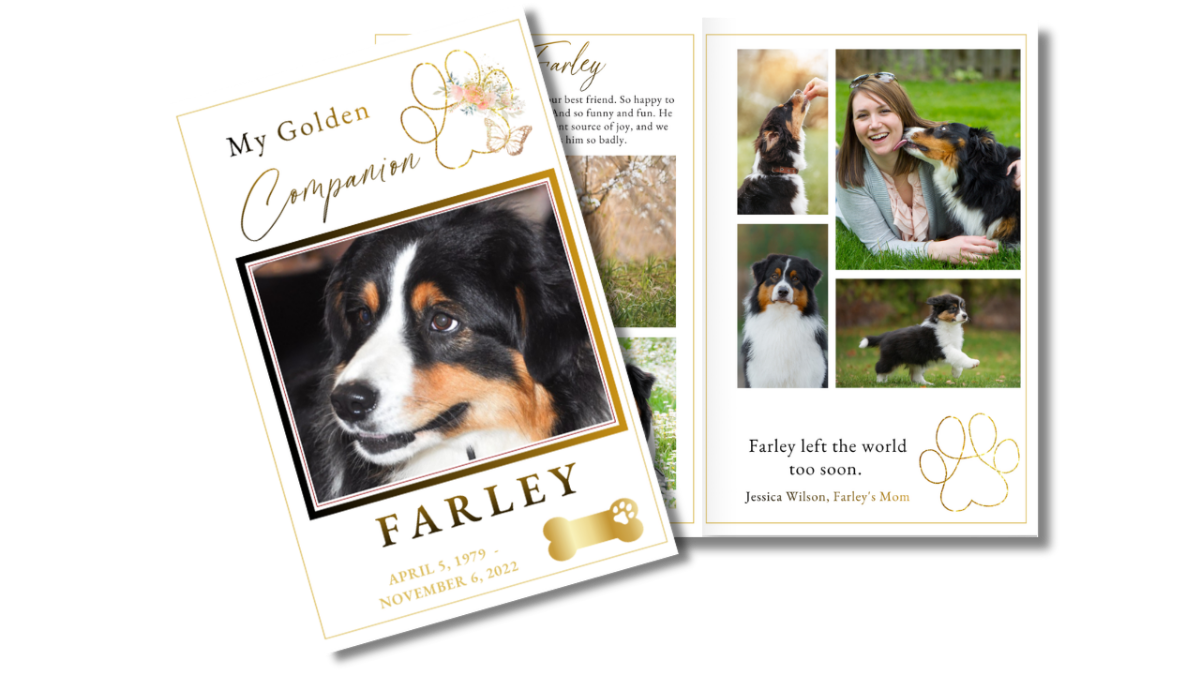 Front cover featuring a beloved dog with gold accents alongside an open interior layout displaying photos and memories in a warm, pet-focused design.
