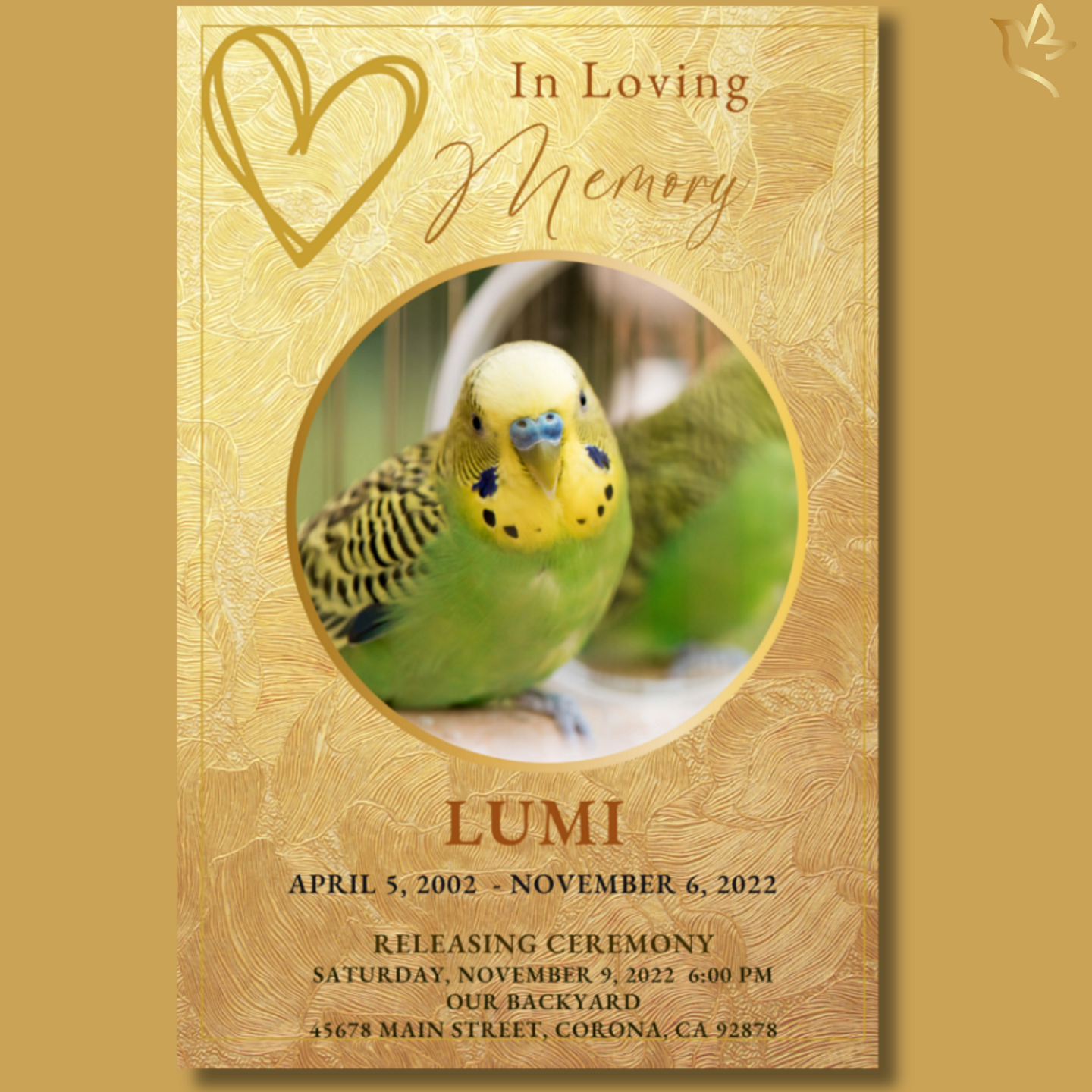 In loving memory pet funeral program featuring a golden-winged illustrated background, soft patterned gold texture, and a circular framed portrait of a yellow and green budgie. Elegant script fonts, warm gold tones, and gentle memorial layout.