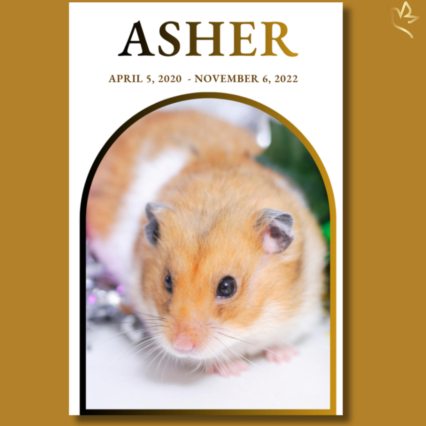 Soft and heartfelt small pet funeral program template featuring a golden hamster framed in a simple arched border, with warm neutral tones and gentle memorial styling.
