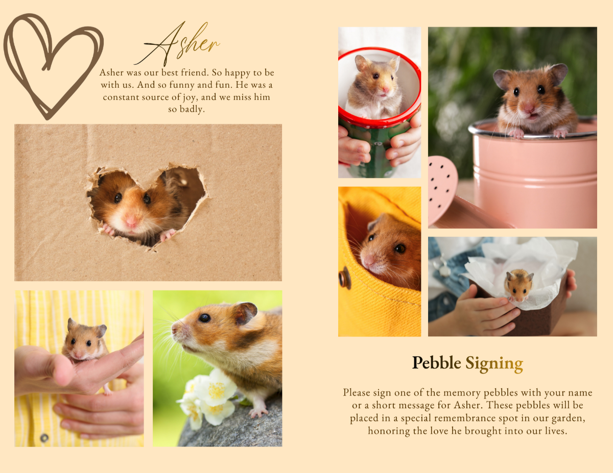 Photo collage page showcasing small pet moments alongside a pebble signing memorial section.