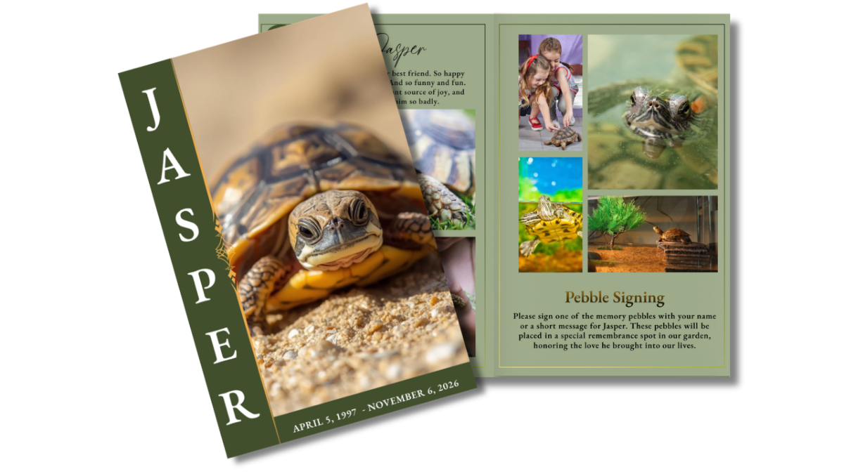 Front cover featuring a turtle on sandy ground alongside an open layout displaying reptile photos and family interaction moments in a soft green, nature-inspired design.