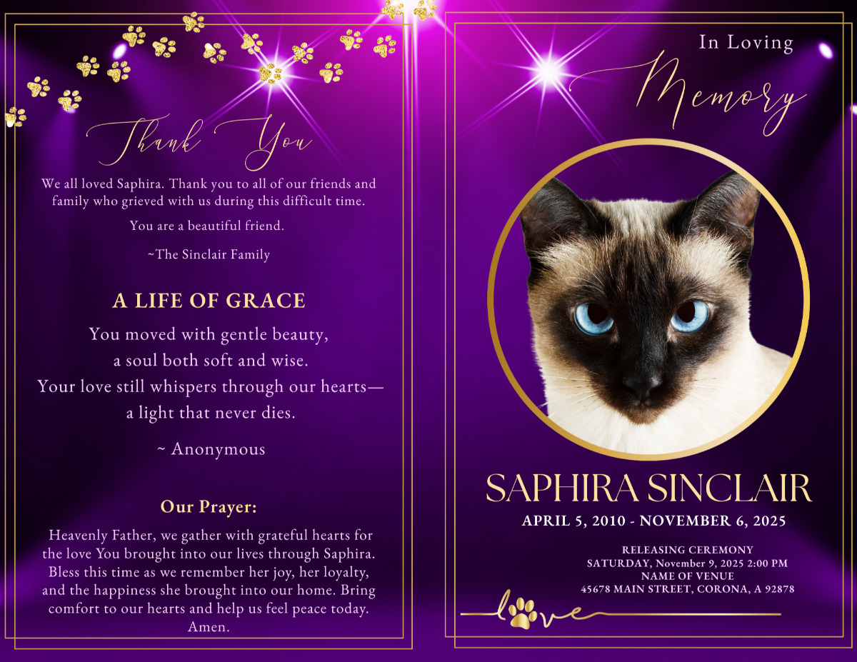 Purrrfect Purple Funeral Program — Open outer spread showing thank-you message with gold paw prints, poem titled “Soft Steps, Gentle Soul,” and a releasing-ceremony section. Spotlit purple background with gold frame accents.