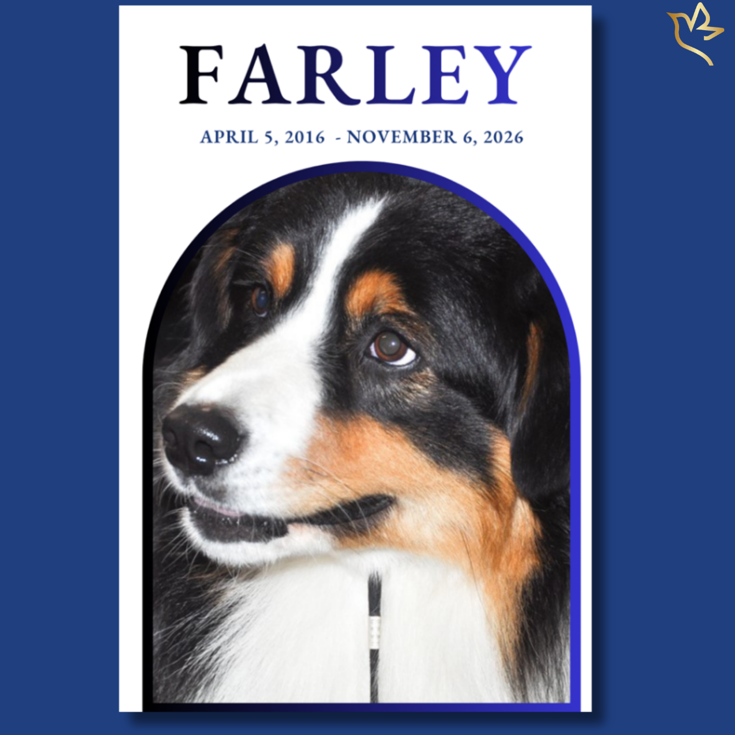A close-up portrait of a beloved dog with gentle eyes, framed in a soft rounded arch design with calming blue accents, creating a peaceful and loving tribute layout.