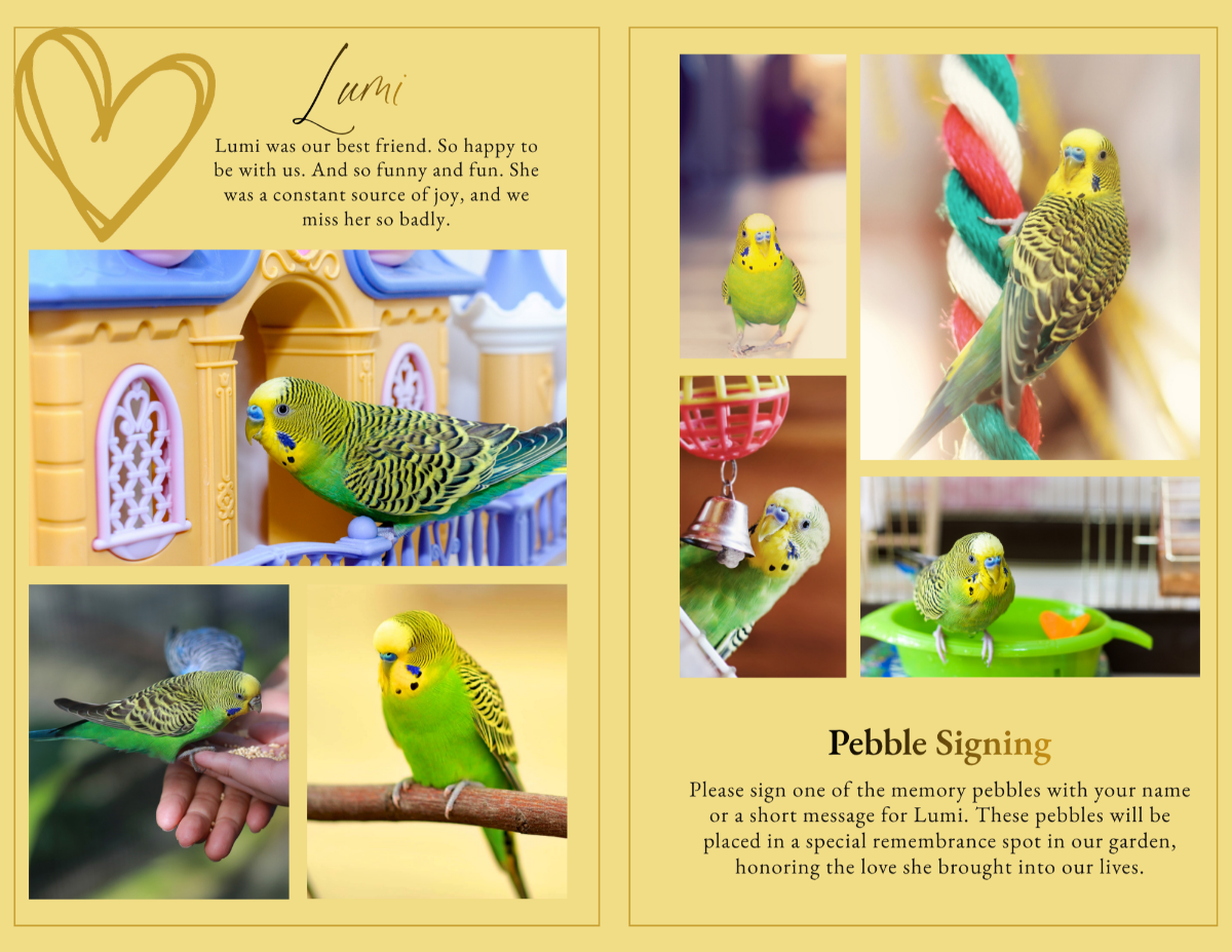 Photo collage layout featuring multiple images of a pet bird perched on toys, hands, and branches, with a Pebble Signing section inviting guests to leave messages in remembrance.