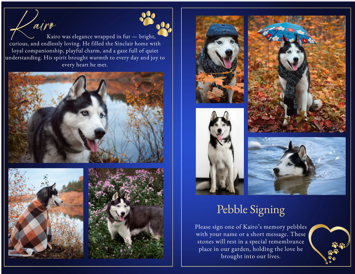 Pet memorial program photo collage pages displaying multiple dog images in a clean, organized layout.