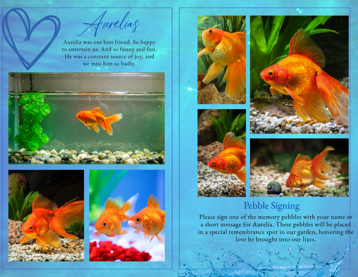 Left page contains multiple goldfish photos arranged in a soft-edged collage with text honoring Aurelia. Right page features additional goldfish images and a “Pebble Signing” section, with underwater blue tones and splashing water accents.