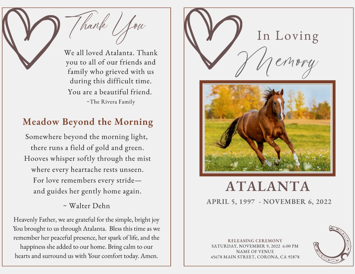 Open cover view showing the thank-you note on the back panel and front photo framed with matching brown line art and horseshoe details.