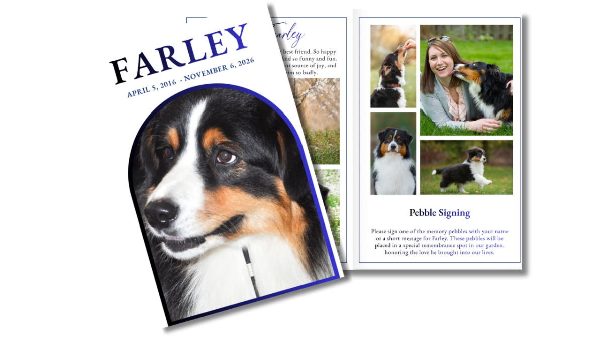 Front cover featuring a beloved dog portrait alongside an open interior spread with photos and heartfelt content in a soft, pet-themed design.